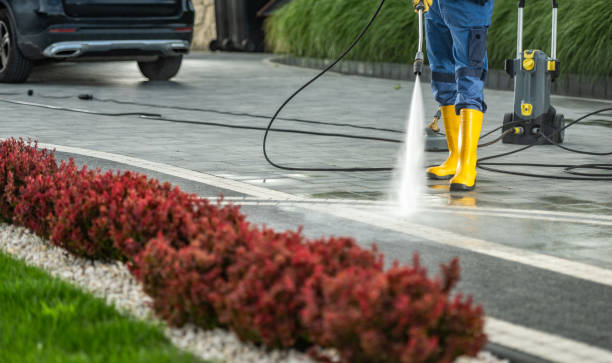 Best Local Pressure Washing Services  in Wyoming, PA
